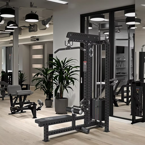 Appareil de musculation multifonction en acier pour salle de sport, avec fonctions de traction dorsale haute et basse, de traction dorsale haute et de traction dorsale basse, pour usage commercial - Product Image 2