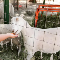 Clôture économique de maille de pâturage de bétail de filet galvanisé par ferme pour des moutons et des cerfs utilisés dans des treillis et des portes de champ