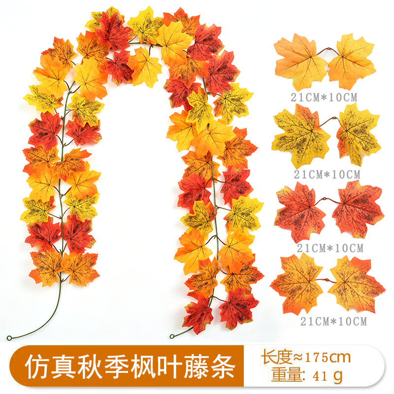 เถาเมเปิ้ลฤดูใบไม้ร่วง 22 หัว - A [1.75ม.]