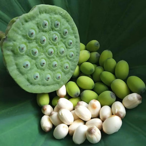 स्वाद वाले पौष्टिक लाभ सूखे कमल के बीज थोक फूल के बीज - Product Image 5