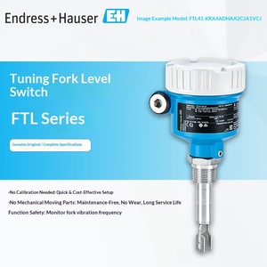 Interrupteur de niveau à fourche vibrante E+H Endress+Hauser série FTL, authentique, personnalisation industrielle, fabriqué en Chine - Product Image 3