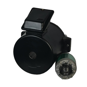 Motor Asíncrono Trifásico de 0.25kW con Carcasa de Aluminio para Bomba de Aceite, Motor Personalizado - Product Image 3