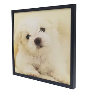 2022 Latest Assorted Sizes Restickable Wall Photo Frame With ABS Material