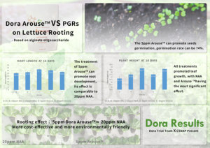Oligosacárido <span class=keywords><strong>de</strong></span> alginato <span class=keywords><strong>de</strong></span> despertar <span class=keywords><strong>de</strong></span> certificación orgánica para aguacate y olivo enraizamiento Hormon - Product Image 3