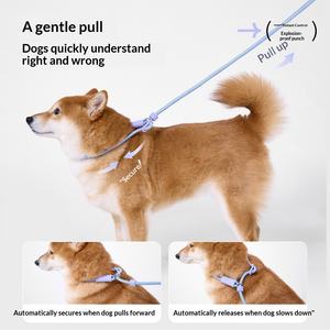 Guinzaglio Antiesplosione Resistente per Cani - Materiale in Pelle, Silicone e Nylon, Senza Perforazioni, Antirottura, Tutte le Taglie - Product Image 3