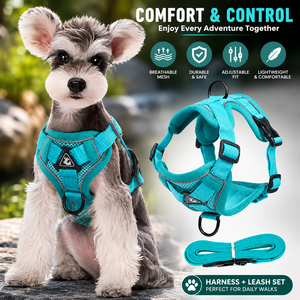 Arnés y Correa <span class=keywords><strong>de</strong></span> <span class=keywords><strong>Seguridad</strong></span> para Perros, Arnés <span class=keywords><strong>de</strong></span> Pecho para Gatos, Chaleco Ajustable para Perros con Cadena y Correa sin Tensión, Diseño Sólido - Product Image 1