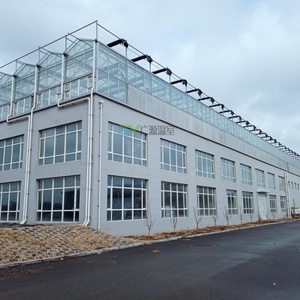 Serre commerciale anti-vent et résistante au gel, <span class=keywords><strong>prix</strong></span> usine, fabrication chinoise pour l'horticulture néo-zélandaise - Product Image 6