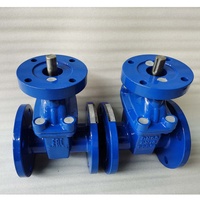 Vanne à vanne à cale assise résiliente en fonte ductile PN16 DN65 GGG50 avec siège EPDM ou NBR à bride ISO