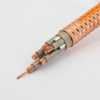 0,6/1kV 4-adriges 50mm2 70mm2 Mineralisoliertes Kupfer Feuerfestes Kabel PO-Ummanteltes Hitzebeständiges Stromkabel