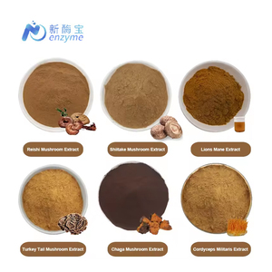 Novenzyme Hữu Cơ Chứng nhận <span class=keywords><strong>Ganoderma</strong></span> <span class=keywords><strong>lucidum</strong></span> chiết xuất 30% polysaccharides - Product Image 2