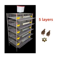 Nouvelle Cage à Cailles Moderne Type H, Vente en Gros Usine, 5 ou 6 Niveaux, pour la Production Commerciale d'Œufs