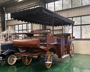 Carrosses de Mariage Électriques Spéciaux pour Visites Touristiques, Prix Usine, Transport de Luxe, à Vendre - Product Image 6