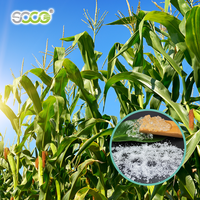 Agent de rétention d'eau élevé pour la capacité d'absorption d'eau du sol Gel sap pour la plantation agricole