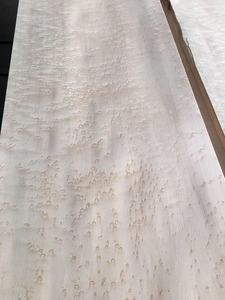 Chapa <span class=keywords><strong>de</strong></span> <span class=keywords><strong>madera</strong></span> <span class=keywords><strong>de</strong></span> <span class=keywords><strong>arce</strong></span> <span class=keywords><strong>ojo</strong></span> <span class=keywords><strong>de</strong></span> pájaro natural para muebles y decoración Chapas <span class=keywords><strong>de</strong></span> alta calidad para manualidades y diseño - Product Image 2