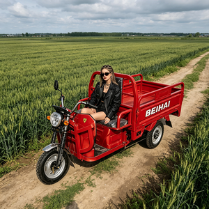 Superauto de Tres Ruedas 2026, Mini Scooter Eléctrico Barato de 60V 2000W, Triciclo Eléctrico de 3 Ruedas para Adultos - Product Image 2