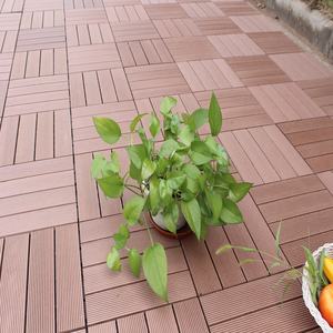 Carreaux de sol de <span class=keywords><strong>chemin</strong></span> de jardin en bois et plastique, carreaux de pont imbriqués, bon marché, pièces - Product Image 1