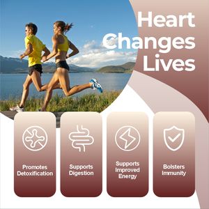 SUNI OEM Marque privée Supplément de superaliment en poudre de cœur de bœuf Sachets de poudre de cœur de bœuf - Product Image 5