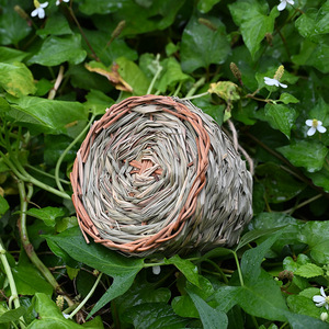 Nid d'oiseau en paille fait main, cage à oiseaux ronde suspendue de 17x14 cm pour oiseaux, cages pour animaux de compagnie - Product Image 4