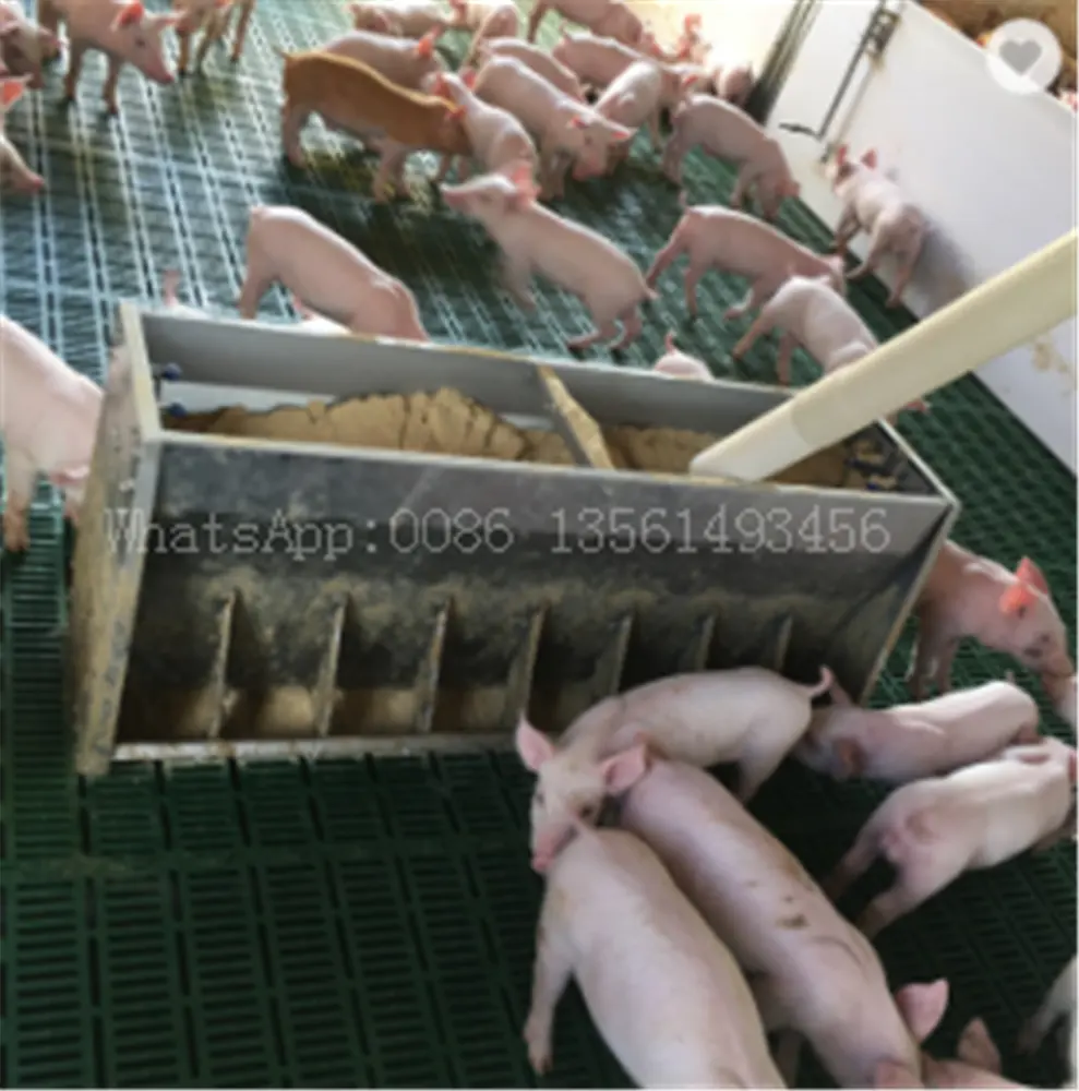 pig Animal Feeders Steel Material For fatten Automatic Feeding System