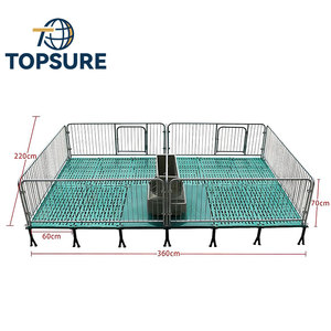 Thiết bị trang trại lợn | bền cai sữa heo con vườn ươm bút Crate gian hàng lồng | tự động lợn nhà cung cấp hệ thống tại Trung Quốc - Product Image 5