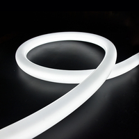 Tube lumineux LED en silicone rond flexible coloré de nouvelle conception R33mm personnalisé DC12v/24v avec bandes LED RGB SMD2835