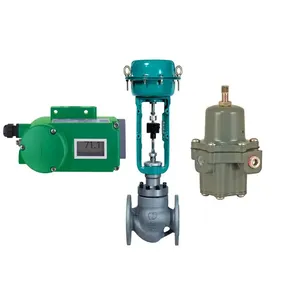 Commande pneumatique avec vannes de régulation avancées Foxboro Smart SRD998 HART - Product Image 6