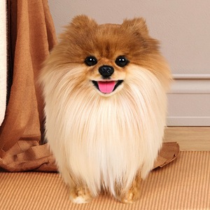 Peluche réaliste de chien Pomeranian faite à la main par <span class=keywords><strong>Katie</strong></span> Hosseini, jouet en peluche, cadeau pour les garçons et les filles, 31 cm-50 cm - Product Image 4