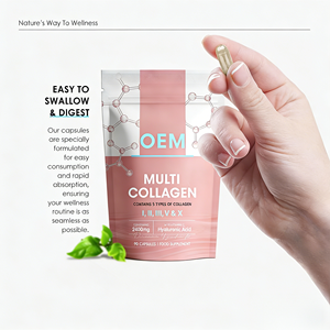 แคปซูลคอลลาเจนเปปไทด์ OEM ODM หลายชนิด 90 เม็ด 5 ประเภท ชนิดที่ 1 2 3 5 X พร้อมวิตามินซี กรดไฮยาลูโรนิก อาหารเสริม - Product Image 5
