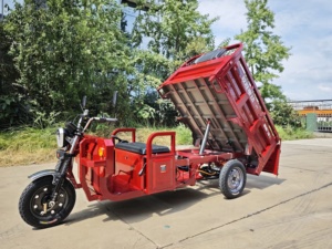 Tricycle électrique Sunsen 1,6 m, <span class=keywords><strong>moto</strong></span> <span class=keywords><strong>cargo</strong></span> à trois roues, tricycle électrique pour le transport de marchandises - Product Image 2