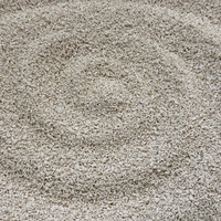 Échantillon gratuit de litière pour chat biodégradable, sans poussière, à absorption élevée, efficace et soluble