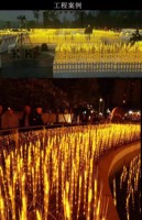 Lampes LED à piquer au sol, blanc chaud, motifs épi de blé/méduse/luciole, étanches IP65, contrôle électrique non intelligent, pour extérieur