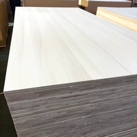 Planche en Paulownia blanchie, collée sur le biais, pour blanks de planches de surf Alaia et noyaux en bois pour sports nautiques haute performance