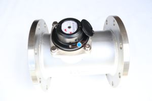 Промышленный чугунный R80-100 с большим холодным фланцем, 40-300 - Product Image 5