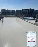 Revêtement imperméable en polyurée brossable, peinture anti-corrosion résistante à l'humidité pour sous-sol, piscine, réservoir d'eau