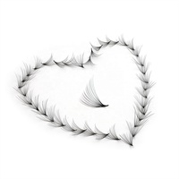 Fournisseur de cils de Volume russe Premium Pro Made, fibre PBT, fans de promades amples, 5D 14D 20D