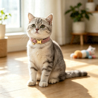 Collier et laisse pour chat en velours confortable, collier pour chat en velours doux pour la peau, ensemble collier et laisse pour chaton, pour tous les types de chats, pour la promenade quotidienne et l'utilisation en intérieur