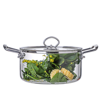 Marmite à soupe et à bouillon en verre borosilicate grande capacité à double anse, compatible cuisinière à gaz, avec poignée en acier inoxydable, style américain