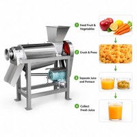 Duurzame appel-citroen-wortelsapcentrifuge voor thuisgebruik, fruitpers, fruitsapmachine