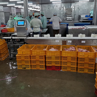 Fruit Kip Gewicht Sorteren Machine Gemaakt In China Fabrikant Waterdichte Automatische Digitale Transportband Voor Vlees Zeevruchten