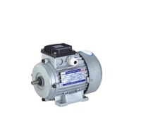 Moteurs électriques à induction triphasés MS562-2 3PH AC 120W Puissance 0,18HP 2 pôles 380V 50HZ/60HZ Fréquence