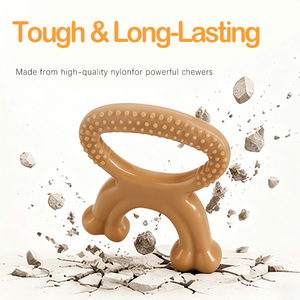Juguete Masticable Interactivo para Perros con Sabor a Carne, de Nailon, con Forma de Cepillo de Dientes, para Uso Diario, OEM y ODM - Product Image 3
