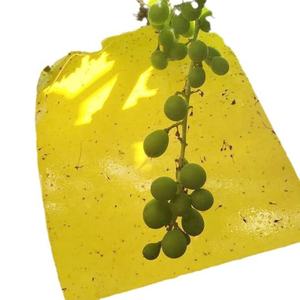 الزراعة الفاكهة الصفراء الزرقاء لزجة فخ الذباب والبعوض الحشرات الغراء القاتل دولة من بين الفن نوع هلام - Product Image 5