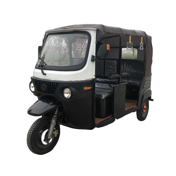 Gasoline and Gas Electric Hybrid 200KM Auto Rickshaw