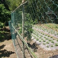 Fabrication de filets anti-oiseaux, filets pour oiseaux agricoles, mailles pour oiseaux bon marché