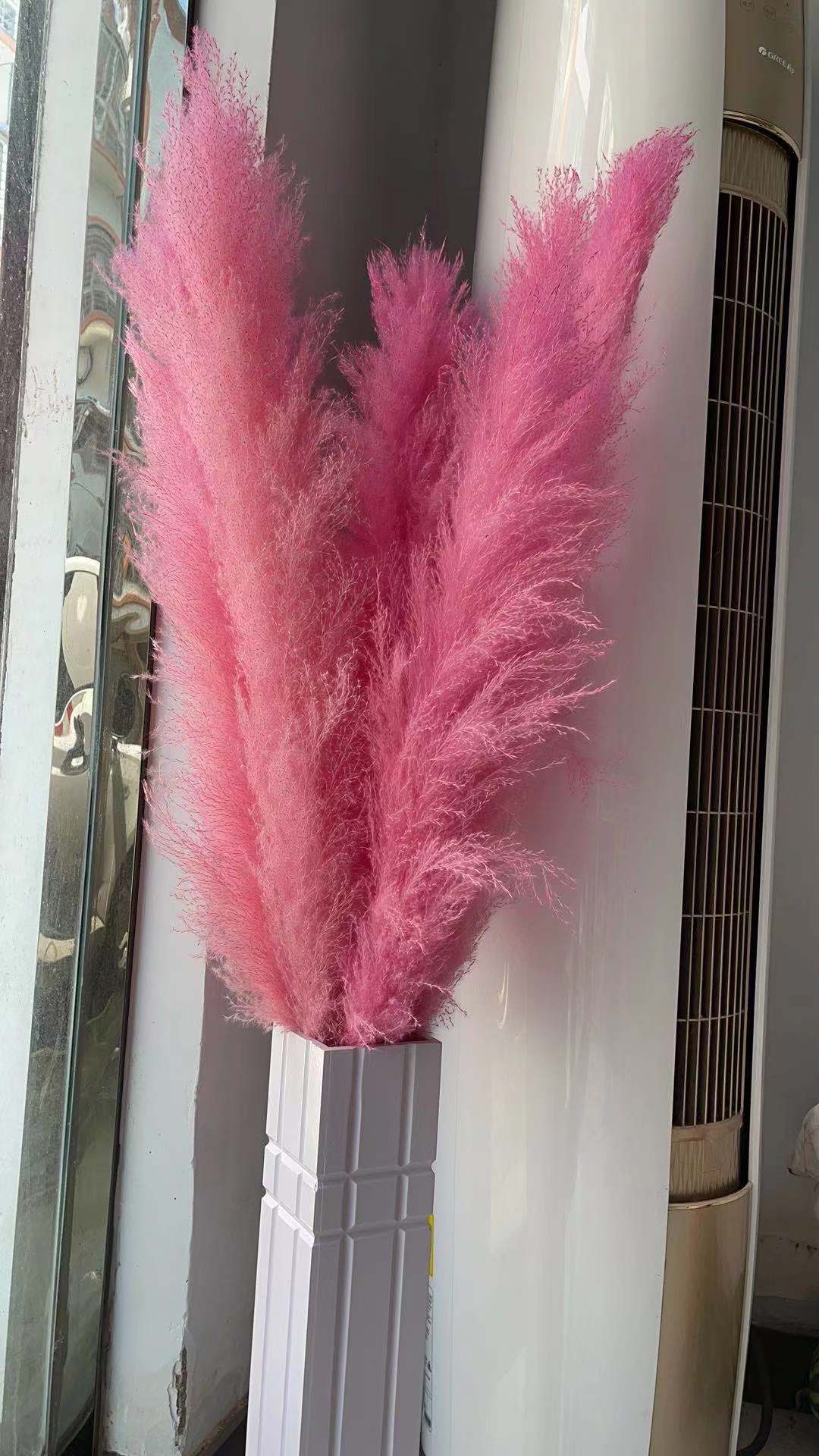 70-90cm plume pink pampas