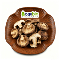 Jamur Shiitake Kering Berkualitas Tinggi Grosir Murah Sehat untuk Memasak Sup