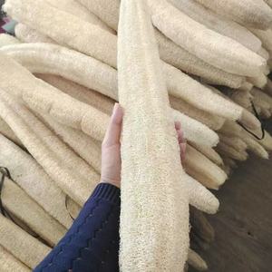 Cepillo de luffa natural de lana entera para lavar platos, paños de luffa antideslizantes para utensilios de cocina, base incluida - Product Image 1