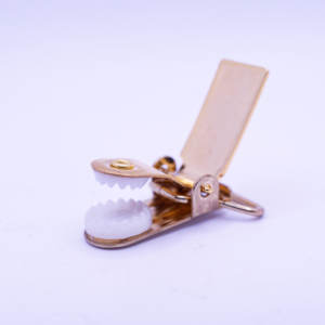 คลิปหนีบอเนกประสงค์สำหรับเสื้อผ้าและเอกสารทำจากสเตนเลสสตีลและ ABS ขนาด34x23มม. - Product Image 4