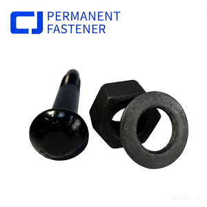 Hoge sterkte Tc bout M20 gelegeerd staal ronde kop graad 10.9 torsie-shear met zwarte oxide afwerking en ringen/moeren voor de bouw - Product Image 2