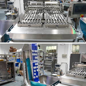 Línea de Envasado Automática para Bolsitas de Nicotina, Tabaco Masticable en Polvo y Snus, con Sistema de Llenado y Tapado de Papel Filtro - Product Image 4